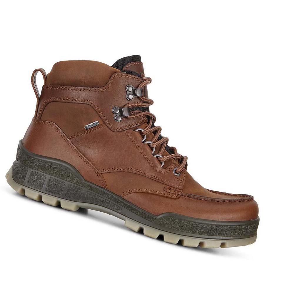 Ecco Track 25 High Hiking & Trail Herre Kaffe | NO 571FDN